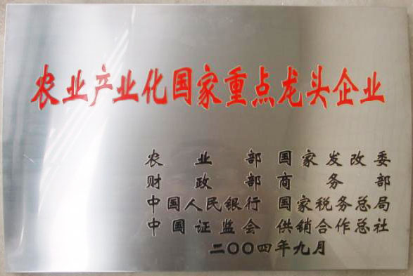 立足過(guò)去、放眼未來(lái)，白象食品二十三歲生日快樂(lè)